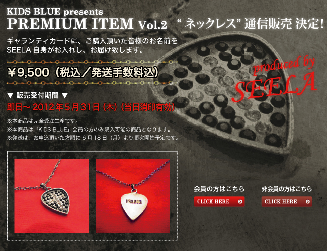 PREMIUM ITEM Vol2